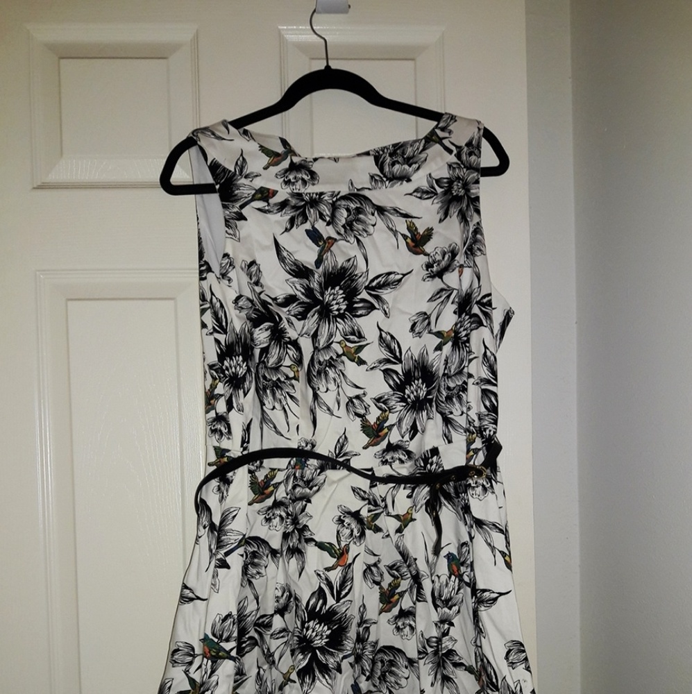 Humming Bird Dress